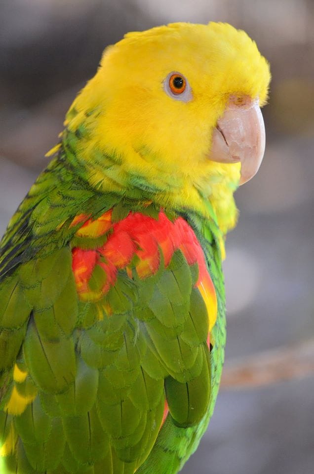 A Picture Equals 1000 Words