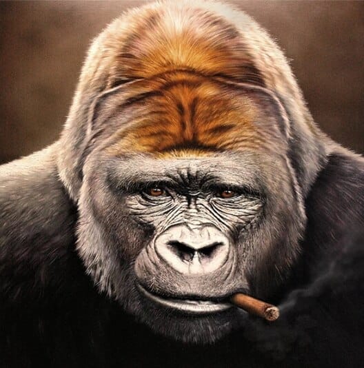 Visuals Help Communicate